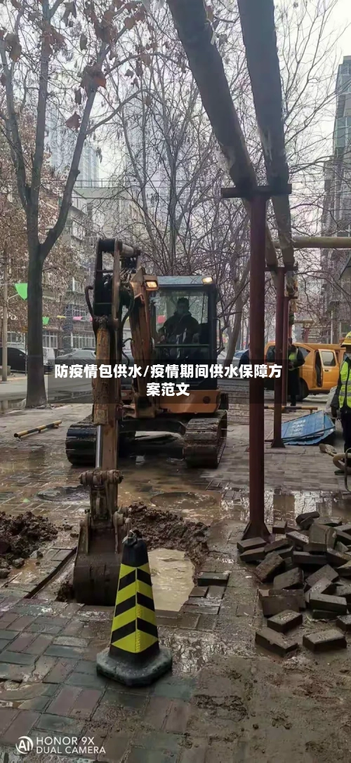 防疫情包供水/疫情期间供水保障方案范文
