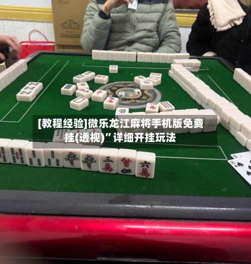 [教程经验]微乐龙江麻将手机版免费挂(透视)	”详细开挂玩法-第2张图片
