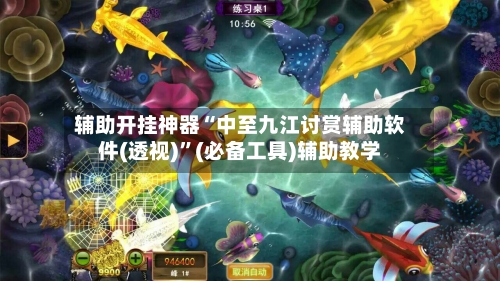 辅助开挂神器“中至九江讨赏辅助软件(透视)	”(必备工具)辅助教学-第3张图片