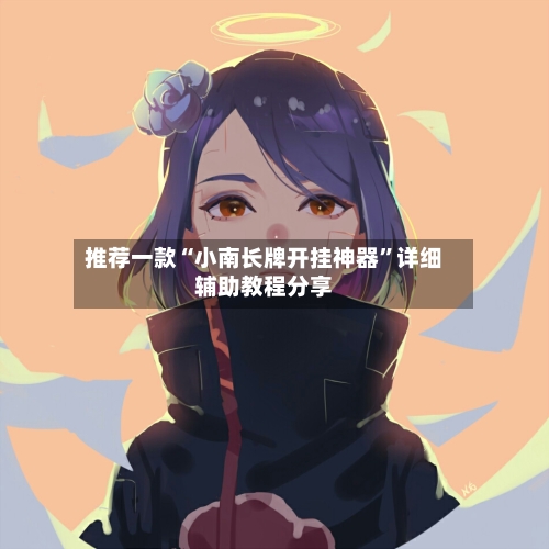 推荐一款“小南长牌开挂神器”详细辅助教程分享-第3张图片