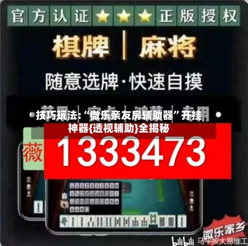 技巧玩法:“微乐亲友房辅助器	”开挂神器{透视辅助}全揭秘-第2张图片