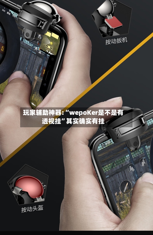 玩家辅助神器:“wepoKer是不是有透视挂”其实确实有挂-第2张图片