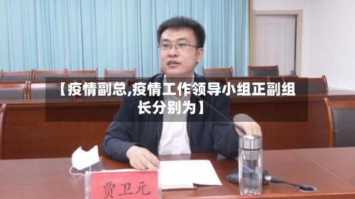 【疫情副总,疫情工作领导小组正副组长分别为】-第2张图片