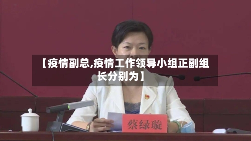 【疫情副总,疫情工作领导小组正副组长分别为】