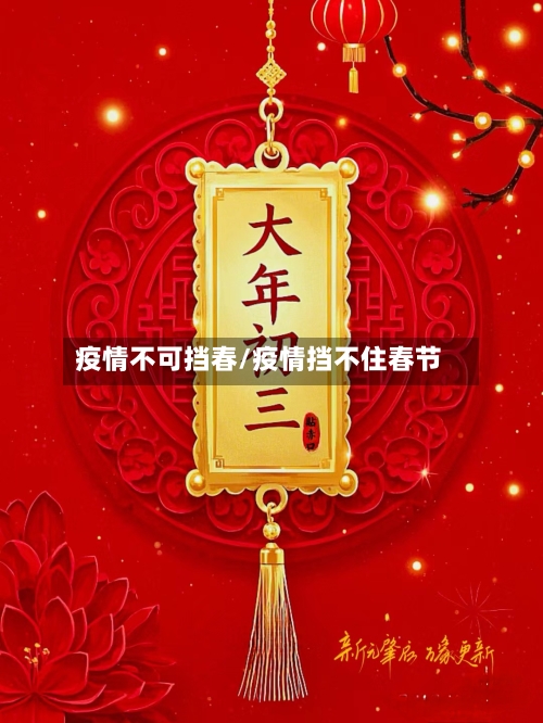 疫情不可挡春/疫情挡不住春节