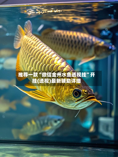 推荐一款“微信金州水鱼透视挂	”开挂(透视)最新辅助详细-第2张图片