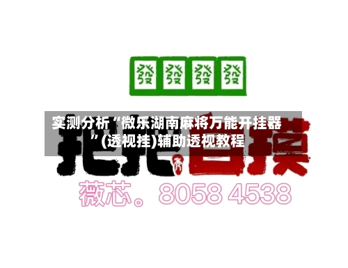 实测分析“微乐湖南麻将万能开挂器”(透视挂)辅助透视教程-第3张图片