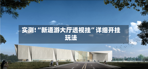 实测!“新道游大厅透视挂”详细开挂玩法-第2张图片