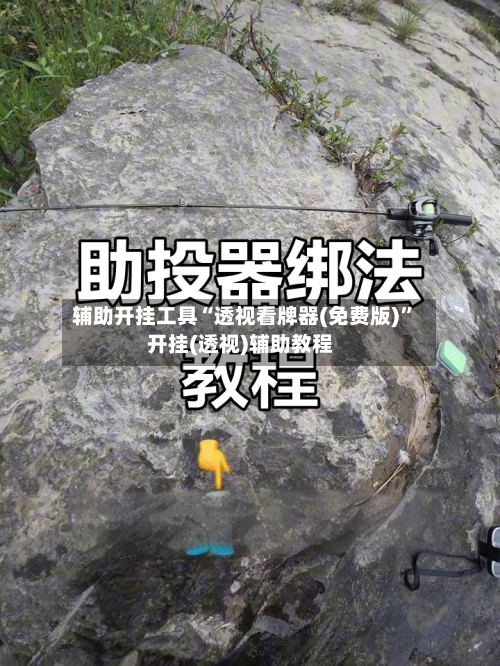辅助开挂工具“透视看牌器(免费版)”开挂(透视)辅助教程