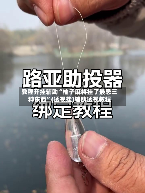 教程开挂辅助“柚子麻将挂了最忌三种东西”(透视挂)辅助透视教程
