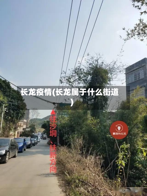 长龙疫情(长龙属于什么街道)
