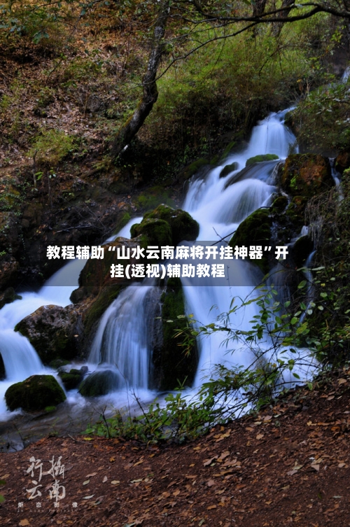 教程辅助“山水云南麻将开挂神器”开挂(透视)辅助教程-第2张图片