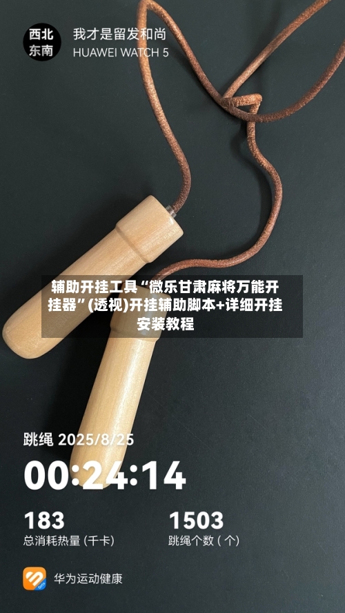辅助开挂工具“微乐甘肃麻将万能开挂器	”(透视)开挂辅助脚本+详细开挂安装教程-第3张图片