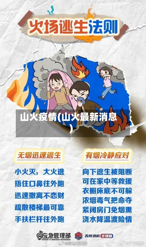 山火疫情(山火最新消息)-第3张图片