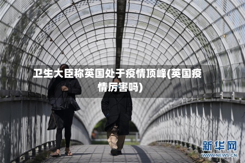 卫生大臣称英国处于疫情顶峰(英国疫情厉害吗)-第2张图片