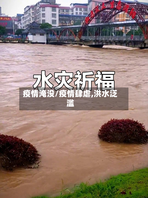 疫情淹没/疫情肆虐,洪水泛滥-第2张图片