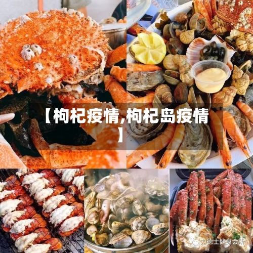 【枸杞疫情,枸杞岛疫情】