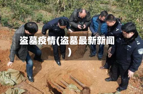 盗墓疫情(盗墓最新新闻)-第2张图片