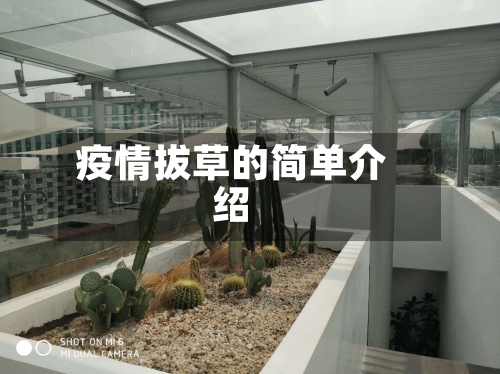 疫情拔草的简单介绍-第2张图片