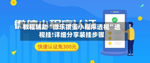 教程辅助“微乐掼蛋小程序透视”透视挂!详细分享装挂步骤-第3张图片