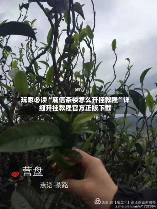 玩家必读“威信茶楼怎么开挂教程	”详细开挂教程官方正版下载-第2张图片