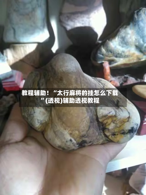 教程辅助！“太行麻将的挂怎么下载”(透视)辅助透视教程-第2张图片