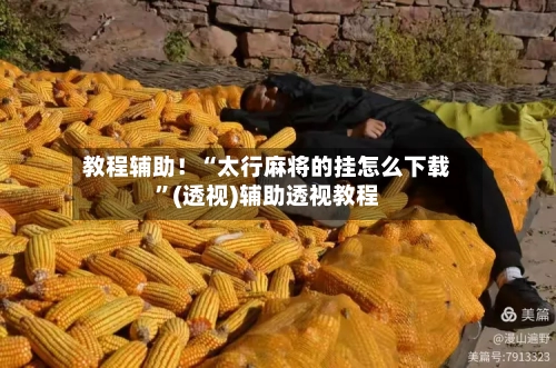 教程辅助！“太行麻将的挂怎么下载”(透视)辅助透视教程-第3张图片