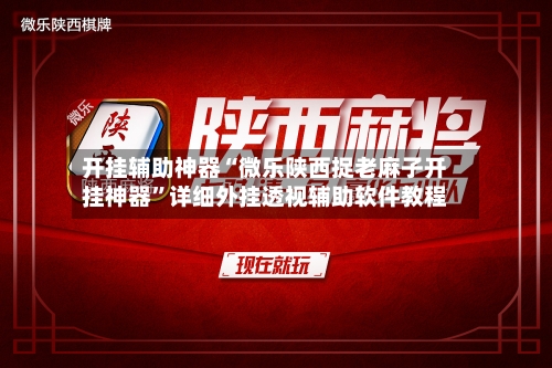 开挂辅助神器“微乐陕西捉老麻子开挂神器	”详细外挂透视辅助软件教程-第3张图片