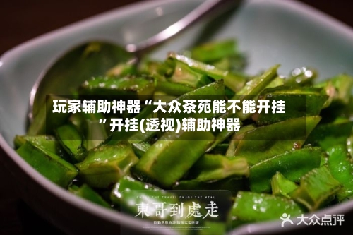 玩家辅助神器“大众茶苑能不能开挂”开挂(透视)辅助神器-第2张图片