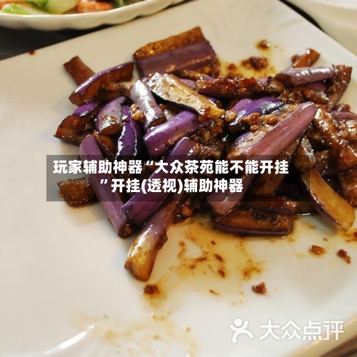 玩家辅助神器“大众茶苑能不能开挂	”开挂(透视)辅助神器-第3张图片