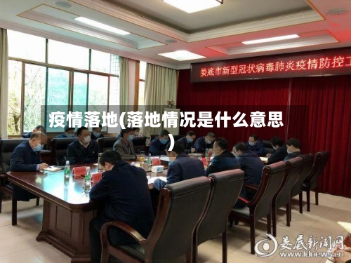 疫情落地(落地情况是什么意思)
