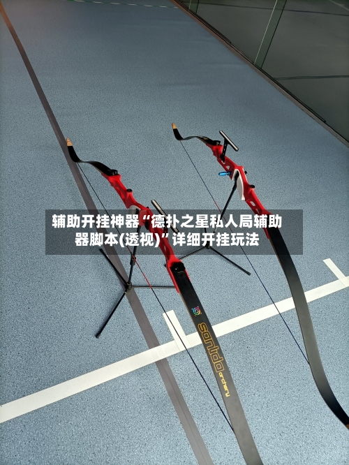 辅助开挂神器“德扑之星私人局辅助器脚本(透视)”详细开挂玩法-第2张图片