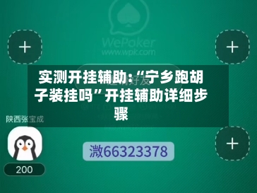 实测开挂辅助:“宁乡跑胡子装挂吗	”开挂辅助详细步骤-第3张图片