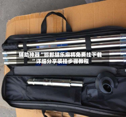 辅助神器“邯郸胡乐麻将免费挂下载”详细分享装挂步骤教程-第2张图片