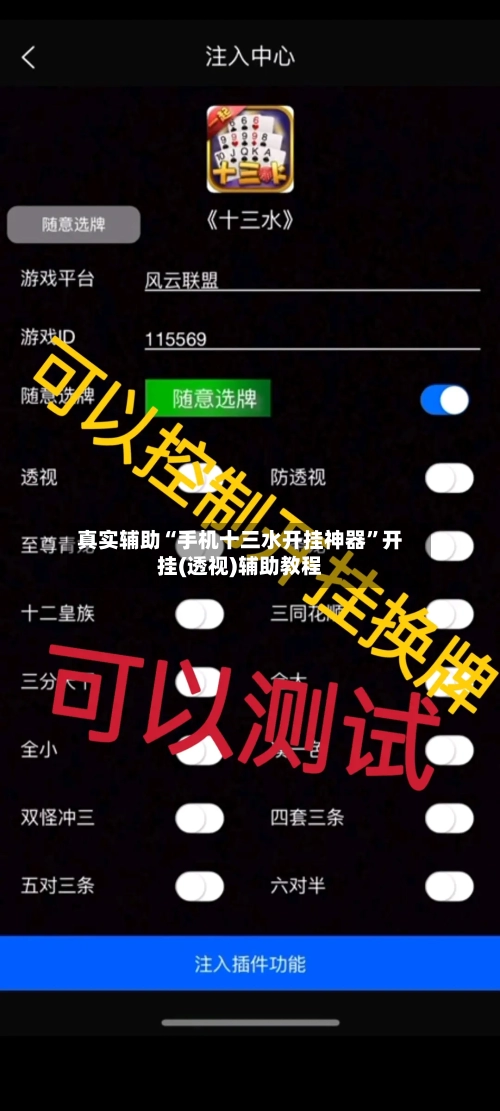 真实辅助“手机十三水开挂神器”开挂(透视)辅助教程