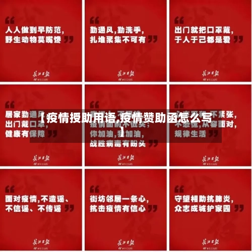 【疫情授助用语,疫情赞助函怎么写】