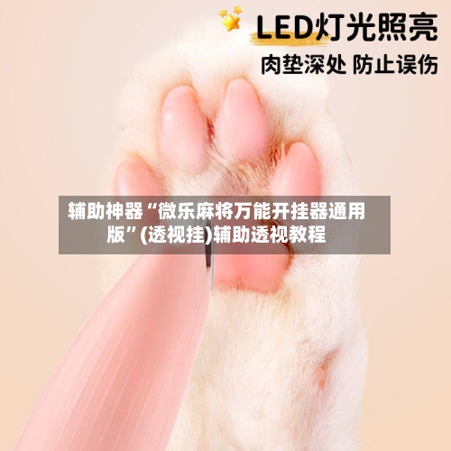 辅助神器“微乐麻将万能开挂器通用版	”(透视挂)辅助透视教程-第2张图片