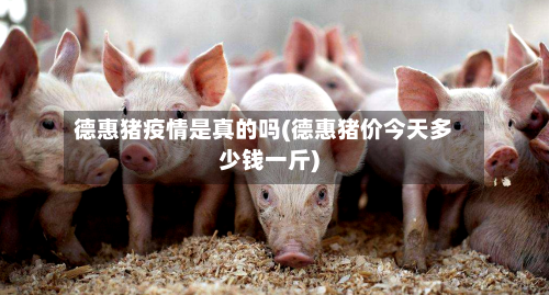 德惠猪疫情是真的吗(德惠猪价今天多少钱一斤)-第2张图片