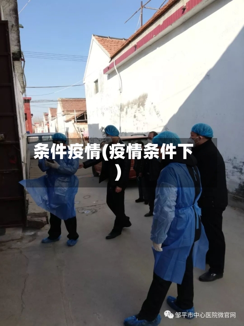 条件疫情(疫情条件下)