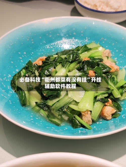 必备科技“衢州都菜有没有挂”开挂辅助软件教程-第2张图片