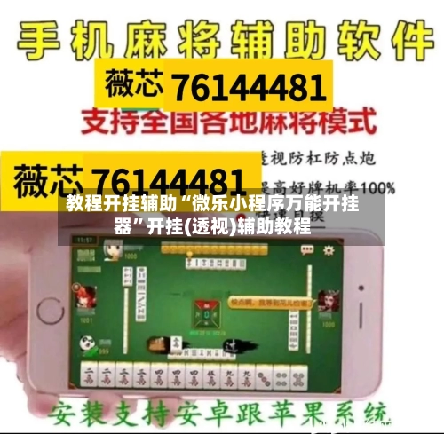 教程开挂辅助“微乐小程序万能开挂器”开挂(透视)辅助教程-第3张图片