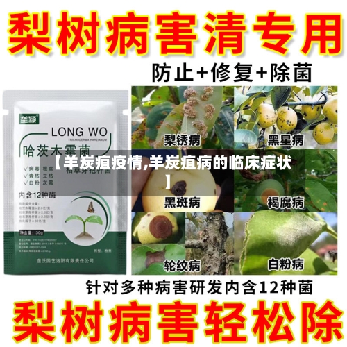 【羊炭疽疫情,羊炭疽病的临床症状】-第2张图片