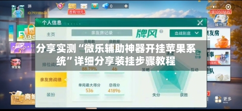 分享实测“微乐辅助神器开挂苹果系统	”详细分享装挂步骤教程-第2张图片