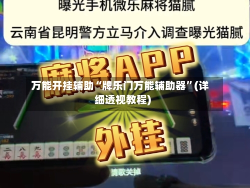 万能开挂辅助“牌乐门万能辅助器”(详细透视教程)-第2张图片