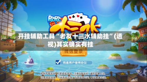 开挂辅助工具“老友十三水辅助挂”(透视)其实确实有挂-第3张图片