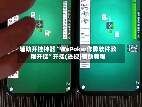 辅助开挂神器“WePoker作弊软件教程开挂”开挂(透视)辅助教程-第2张图片