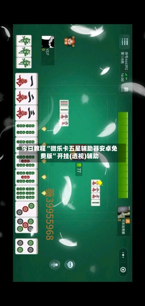 今日教程“微乐卡五星辅助器安卓免费版	”开挂(透视)辅助-第2张图片