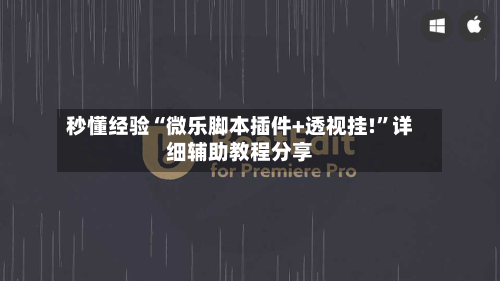 秒懂经验“微乐脚本插件+透视挂!”详细辅助教程分享-第3张图片