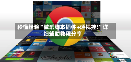 秒懂经验“微乐脚本插件+透视挂!	”详细辅助教程分享-第2张图片