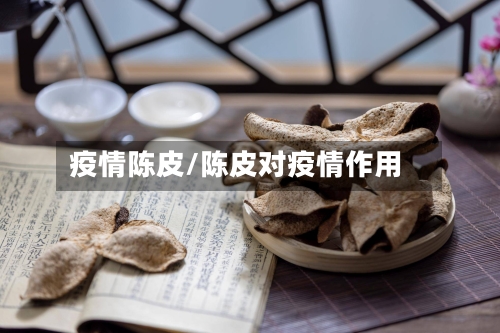 疫情陈皮/陈皮对疫情作用-第2张图片